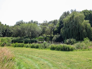 Norfolk Haven image 6