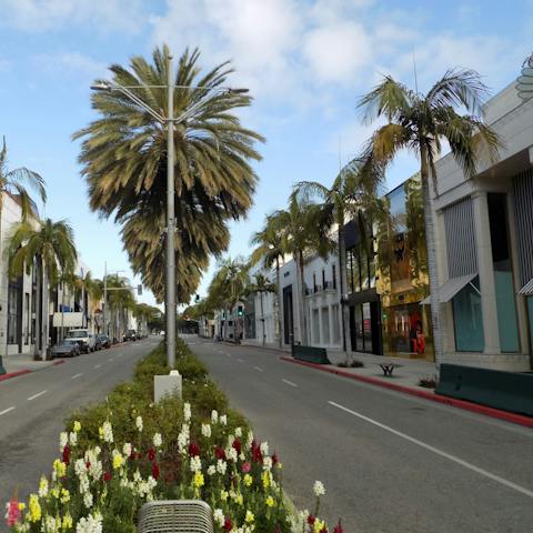 Stroll the palm-lined streets of Beverly Hills, with a trip to Rodeo Drive a must