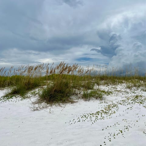 Walk a few steps to the sands of Plage des Bas Sablons