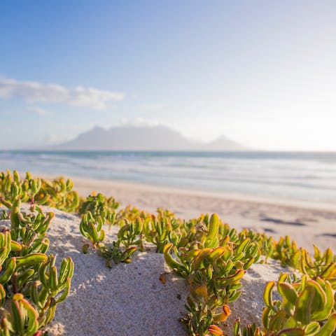 Spend leisurely days relaxing on Mouille Point Beach