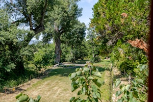 Idyllic Provençal Abode image 5