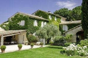 Olive Oil & Luberon Light image 13
