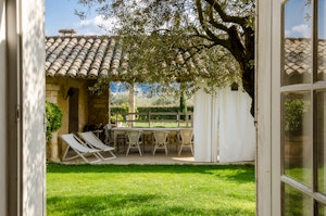Olive Oil & Luberon Light image 5