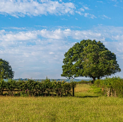 Explore the lush surroundings on foot or by bike