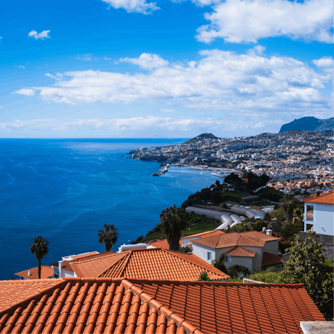 Soak up the sights and sounds of Funchal Harbour, a short drive away