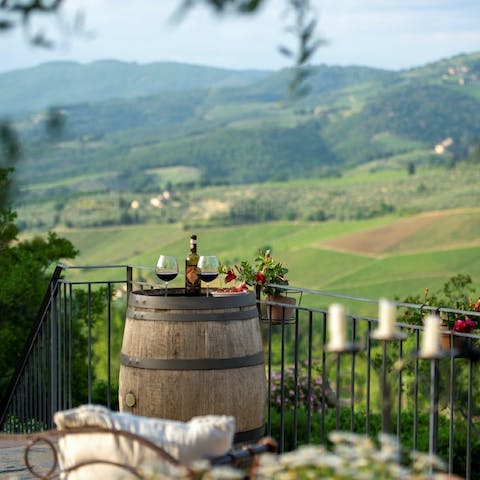 Arrange a wine tasting session as you gaze out over the local vineyards