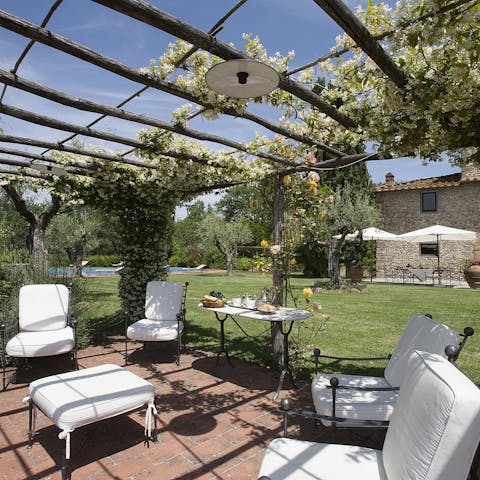 Share drinks and food under the pergola