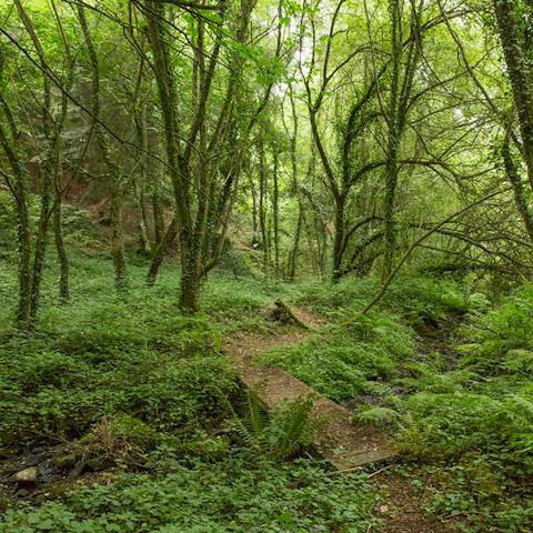 Wind your way through the surrounding woodland to fully immerse yourself in the countryside