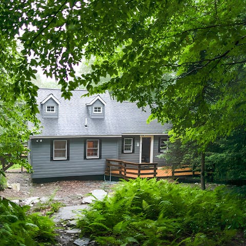 Go for a hike through this home's 6 acres of woodland