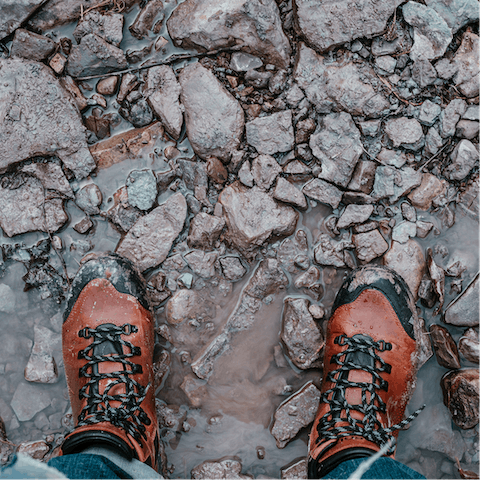 Pack your walking shoes and explore the area's scenic coastal trails