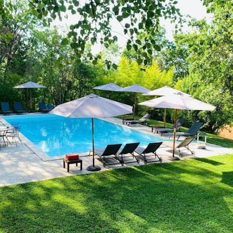 Celebrate the sunshine with a day in and around the private pool