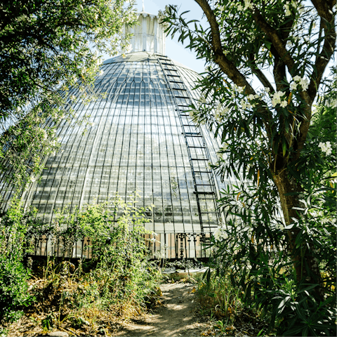 Have a stroll around the Park of Necessidades with its duck pond and peacocks – a short walk away