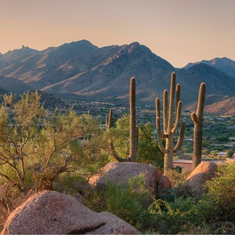 Explore the nearby mountain and desert parks