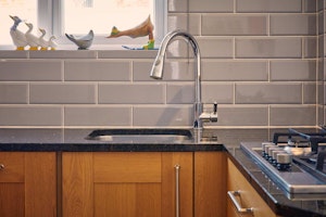 Like a Duck to Water image 3