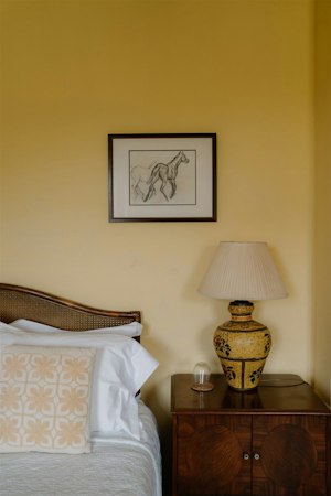 Pine & Rhone image 7
