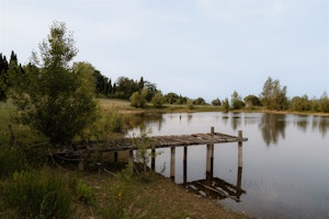 Pine & Rhone image 4