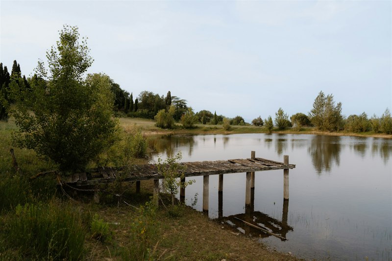 Pine & Rhone additional image