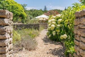 The Prosecco Garden image 11