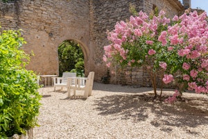 The Prosecco Garden image 4