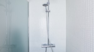 Halcyon Rest image 3