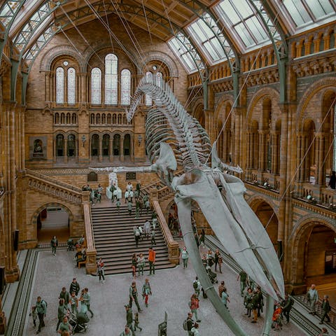 Explore the Natural History Museum,  also eight minutes away on foot