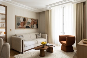 The Modern Parisienne image 1