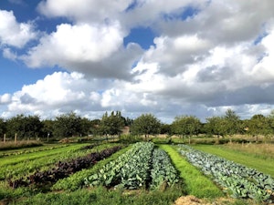Harvest Retreat image 6
