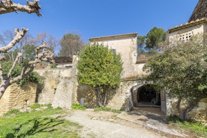 Stone & Fig image 2