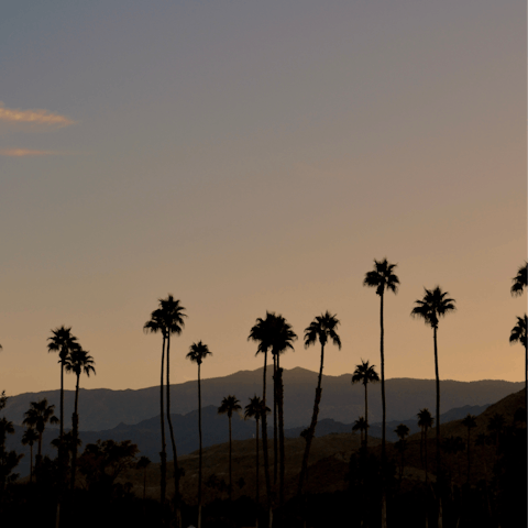 Enjoy the breathtaking desert sunsets Palm Springs is so famous for
