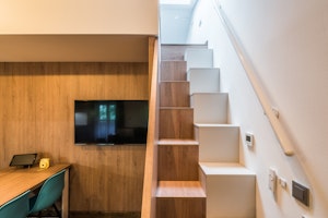 Blue Fir image 13