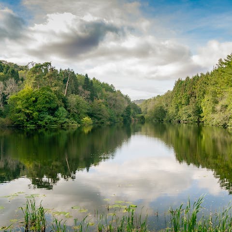 Walk around neighbouring Woodchester Park with its lakes and woodland