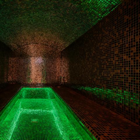 Luxuriate in the in-home spa and hammam after a busy day
