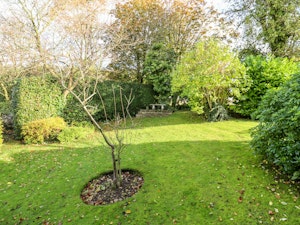 Wisteria Valley image 9