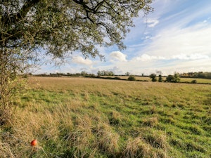 Wisteria Valley image 6
