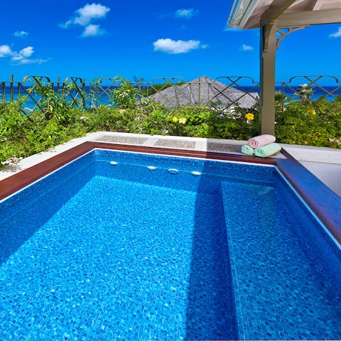 Enjoy an invigorating dip in your private plunge pool on hot, sunny days