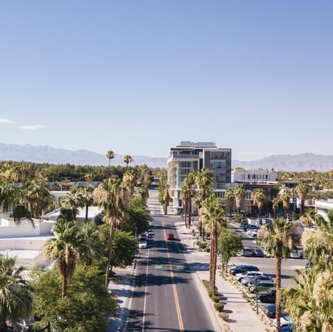 Walk to iconic Palm Canyon Drive