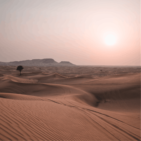 Watch the sun go down over the dunes of Qudra Desert, a short drive from home