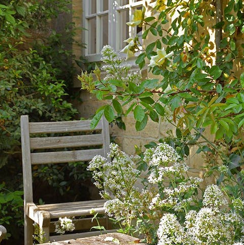 Sip an evening cocktail in the peaceful garden, surrounded by lush flowers and greenery