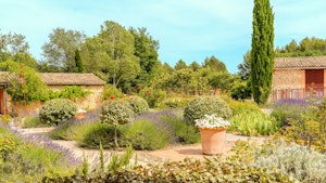 Roussillon Retreat image 14
