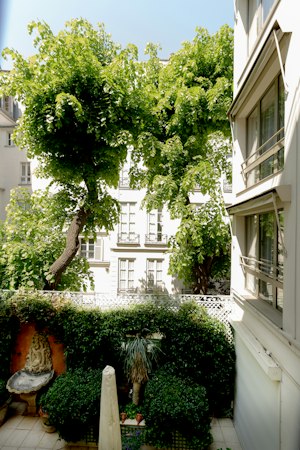 Colette's Atelier image 3