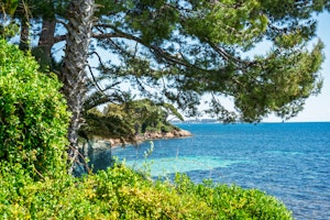 Cannes Seafront image 10