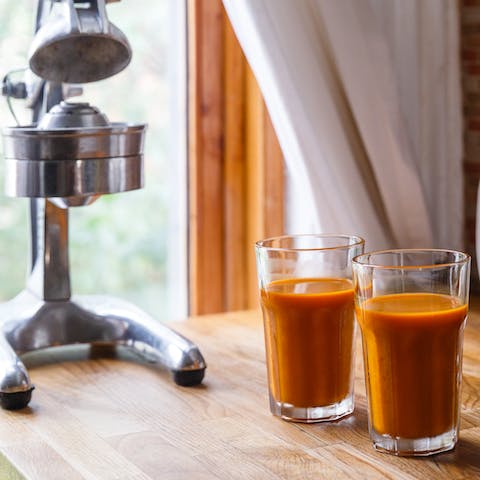 A juice-press for your morning OJ