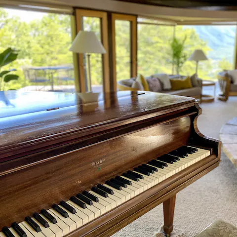 Entertain your guests with a few tunes on the piano or record player