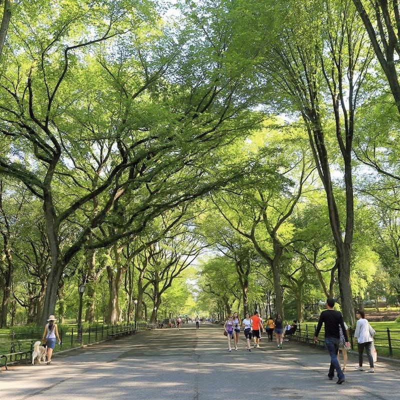 Your location by Central Park