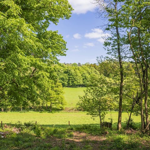 Experience the serene beauty of the Oxfordshire countryside