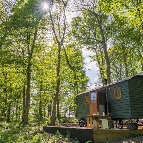 Step outside and spend rejuvenating days exploring the majestic woodland