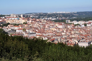 The Lyon Den image 6