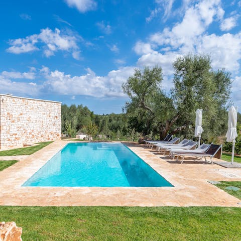 Cool off in the salt-water infinity pool amid olive groves and fruit trees