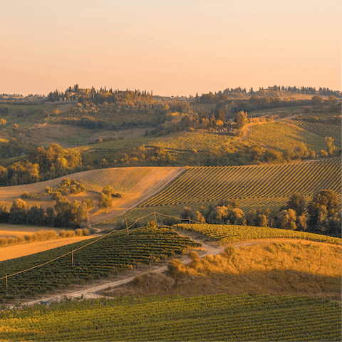 Explore Tuscany's rolling countryside, dotted with sleepy villages, local vineyards and countless olive groves, right on your doorstep
