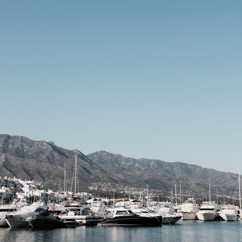 Take a ten-minute taxi to Puerto Banus Marina for supper